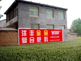 茂县如何让墙体广告展现最大化效果