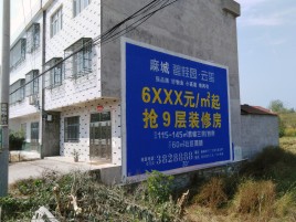茂县墙体广告质量分析